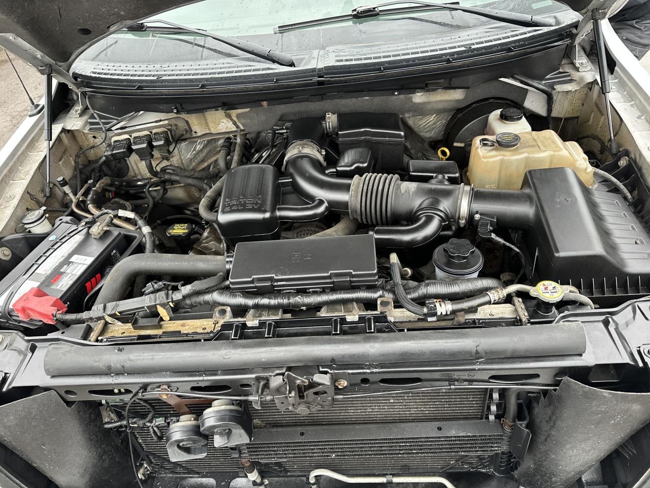 2009 Ford F-150 XL, LOW KMS, ONLY 87KMS, LONG BOX, SHORT CAB, CERT Photo