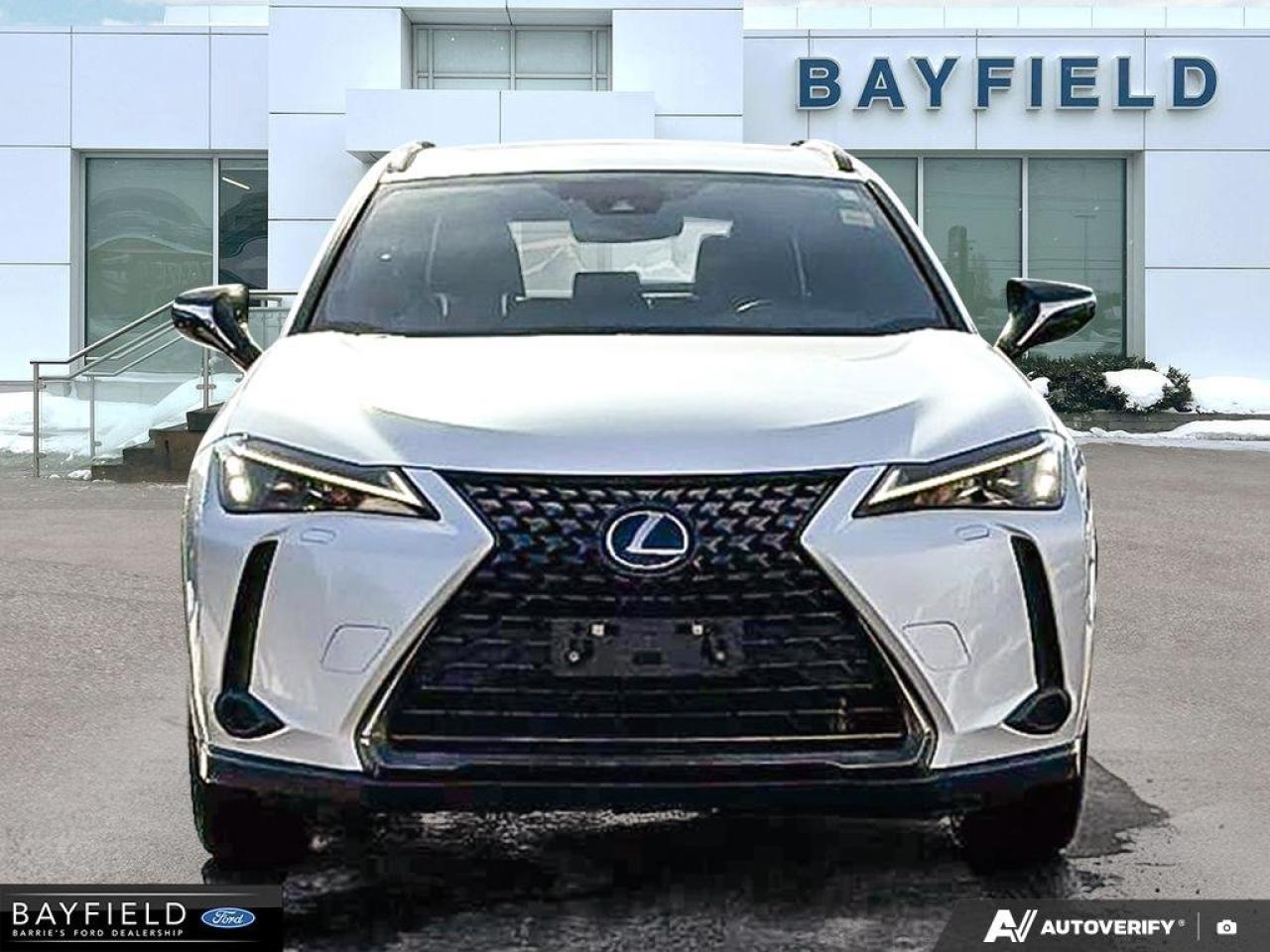 2021 Lexus UX UX 250H Photo