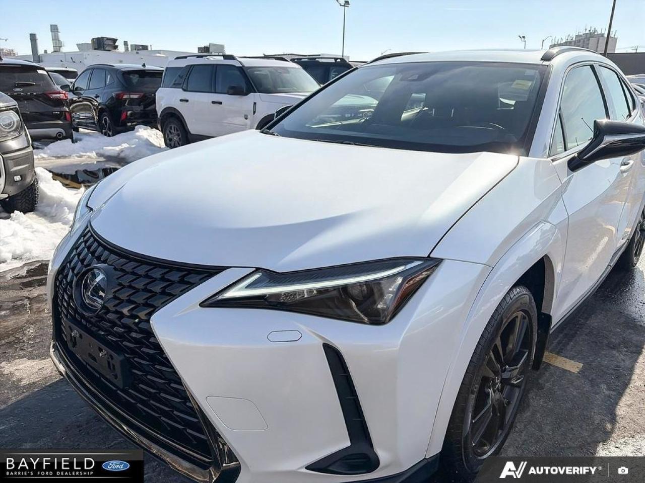 2021 Lexus UX UX 250H Photo