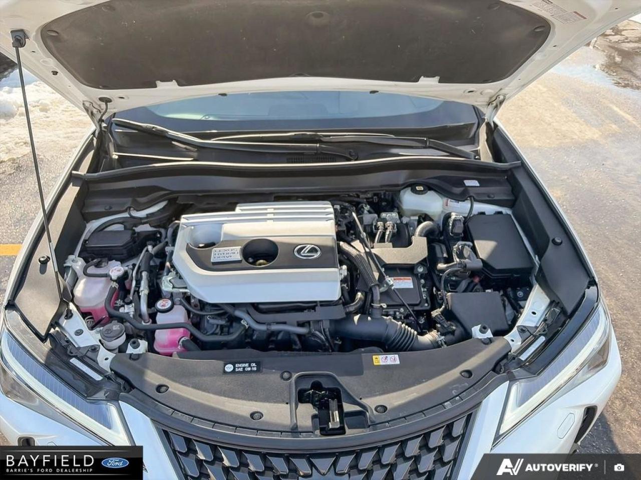 2021 Lexus UX UX 250H Photo