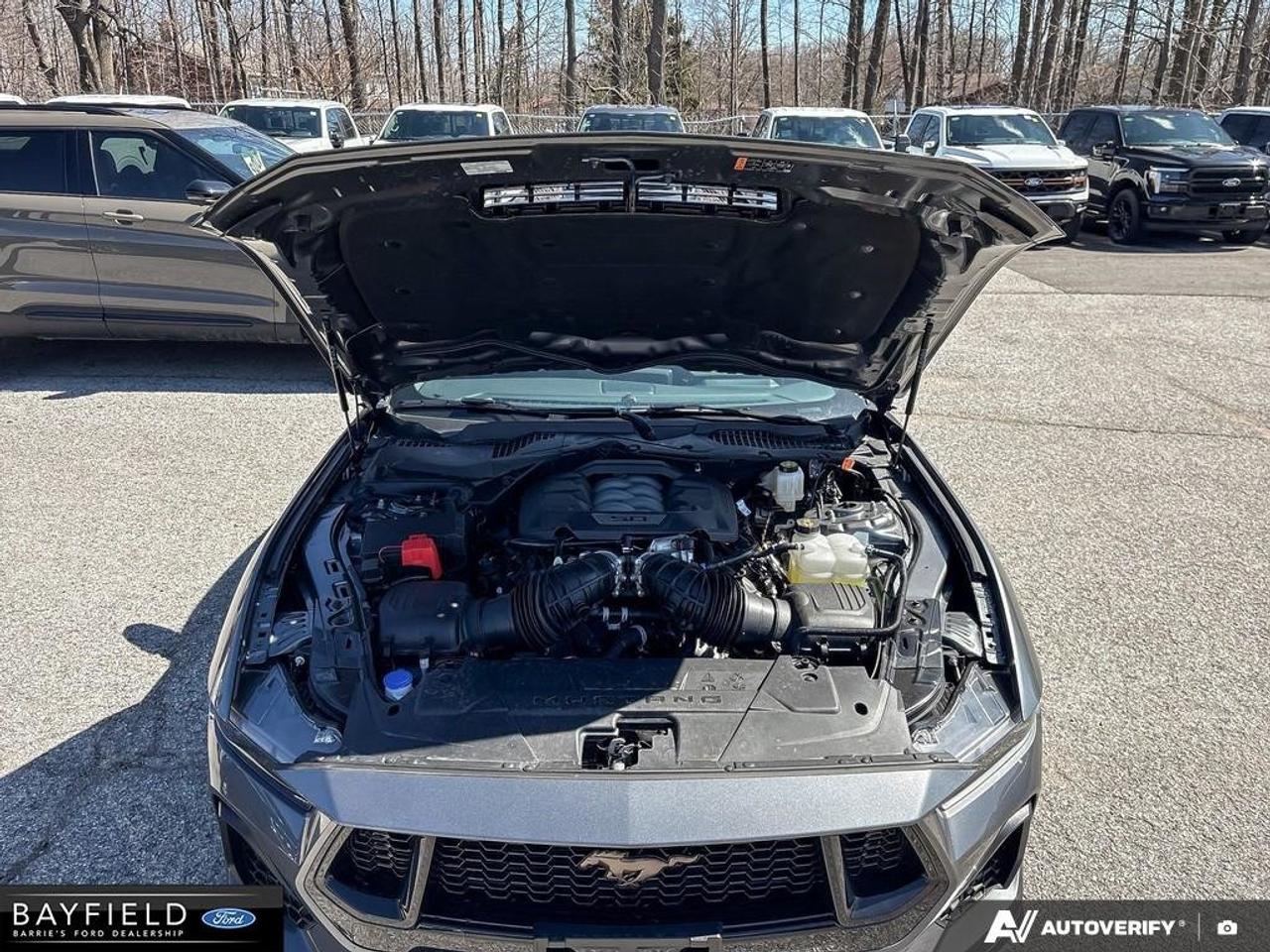 2026 Ford Mustang GT Premium Photo