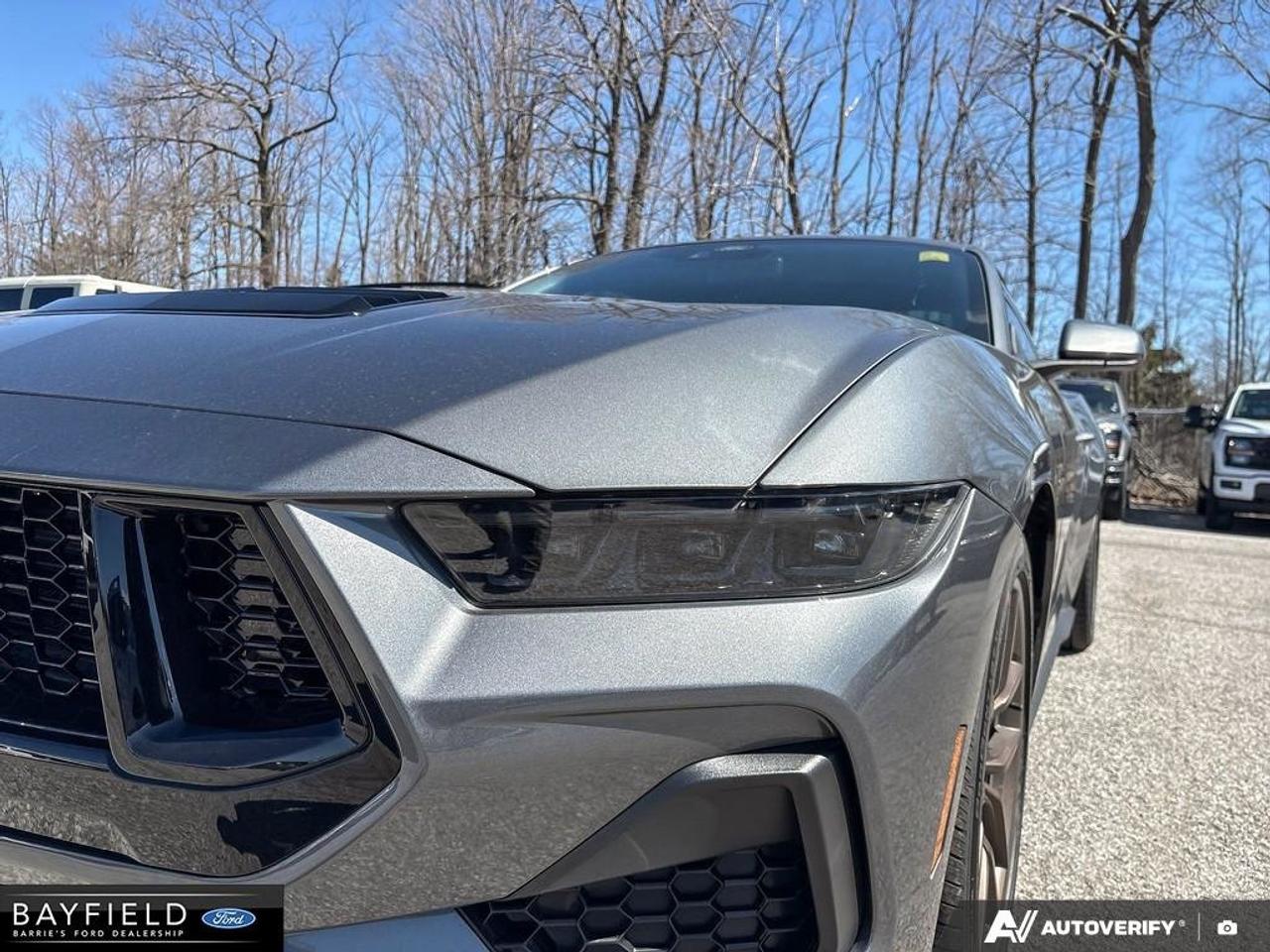 2026 Ford Mustang GT Premium Photo