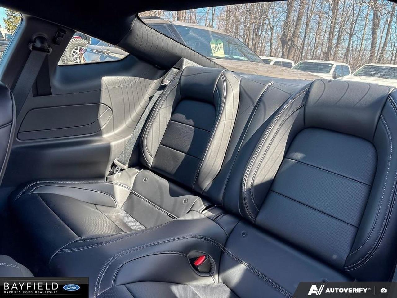 2026 Ford Mustang GT Premium Photo