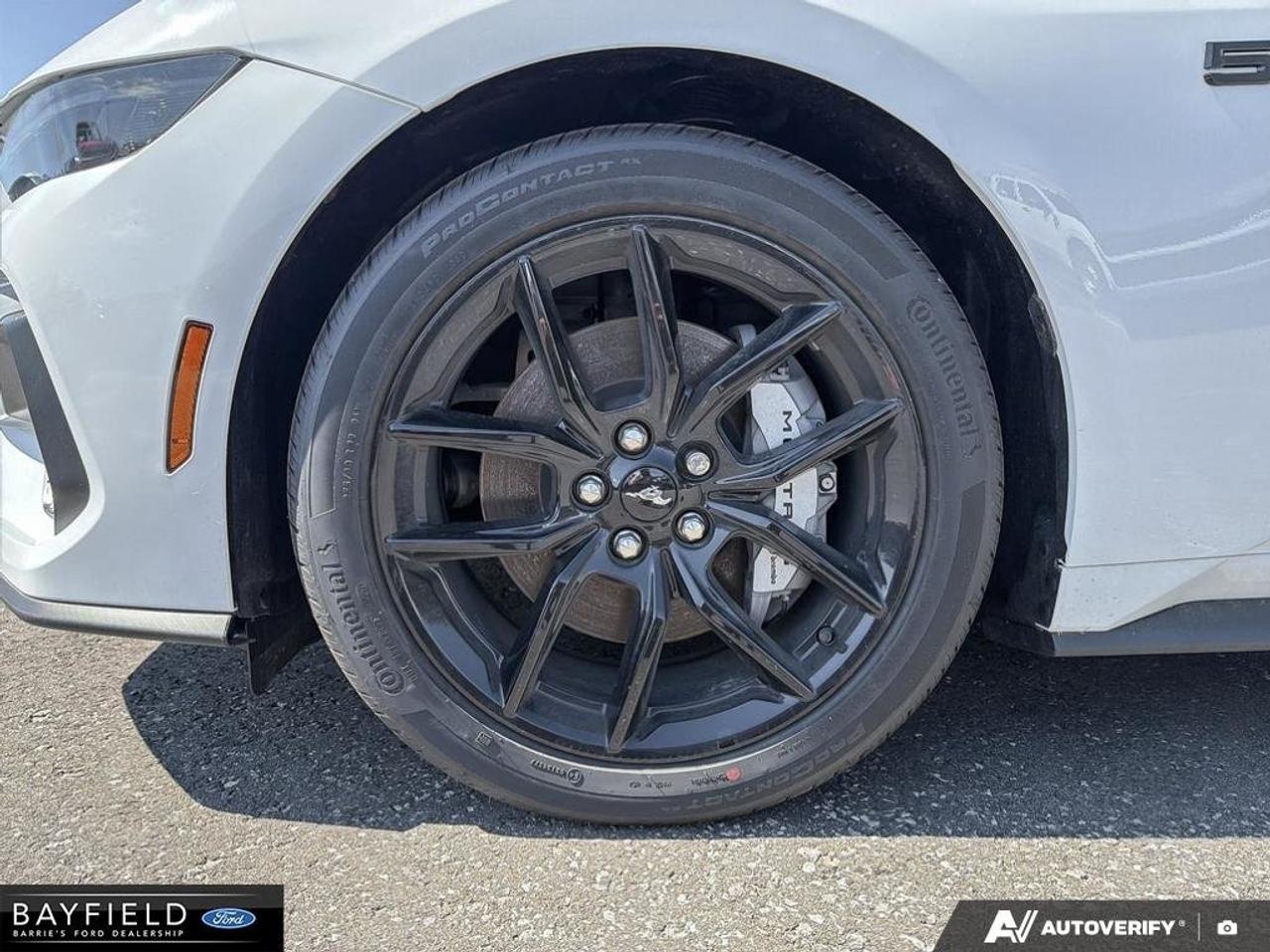2026 Ford Mustang GT Photo