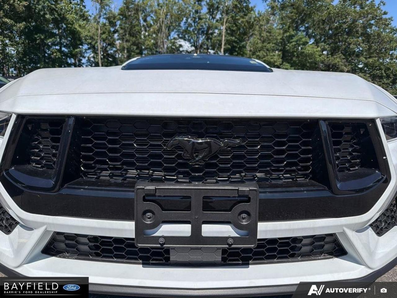 2026 Ford Mustang GT Photo