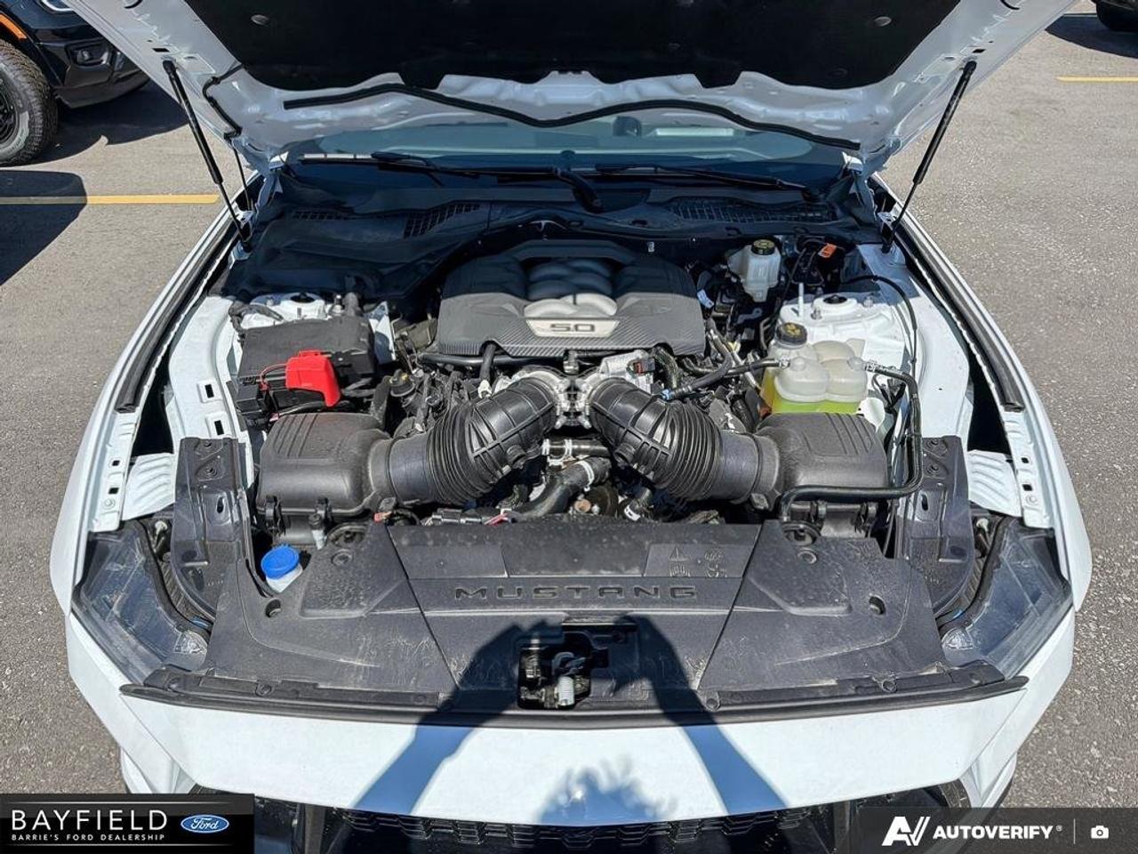 2026 Ford Mustang GT Photo