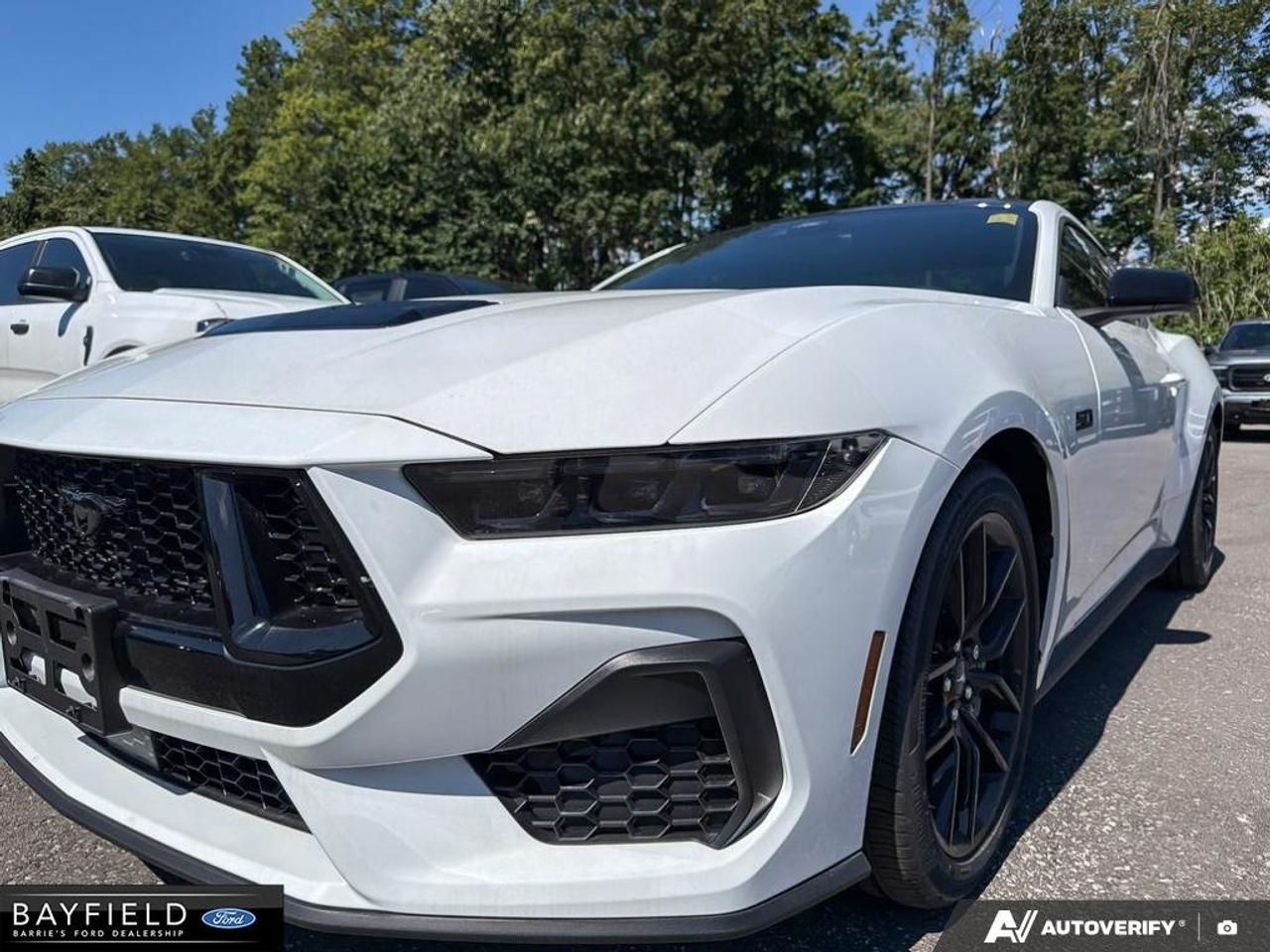 2026 Ford Mustang GT Photo