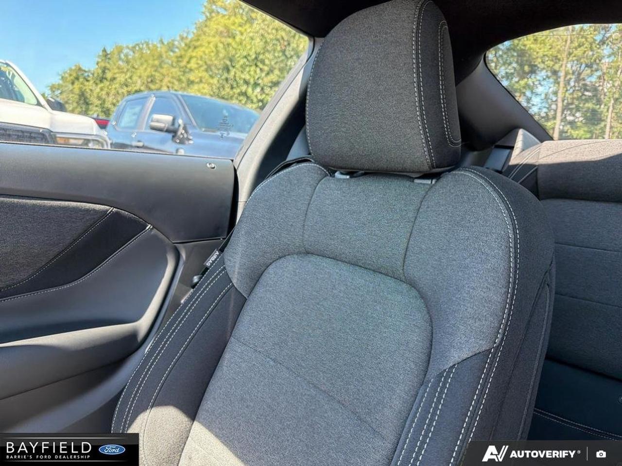 2026 Ford Mustang GT Photo