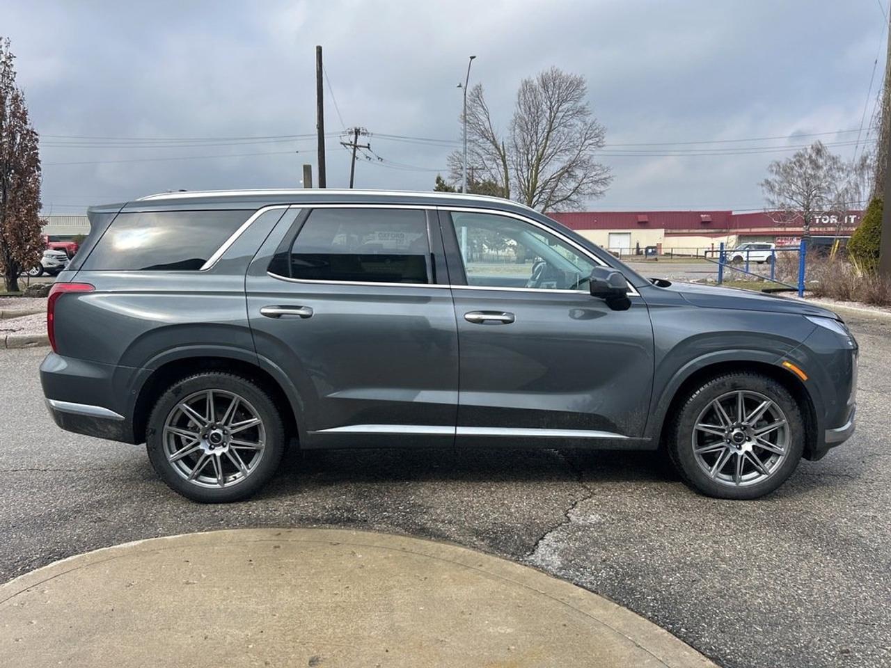 2025 Hyundai PALISADE Ultimate Calligraphy Photo4