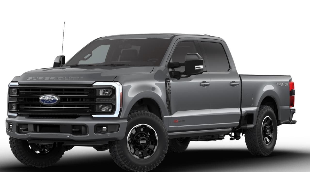 2026 Ford F-350 Super Duty SRW Platinum Photo0