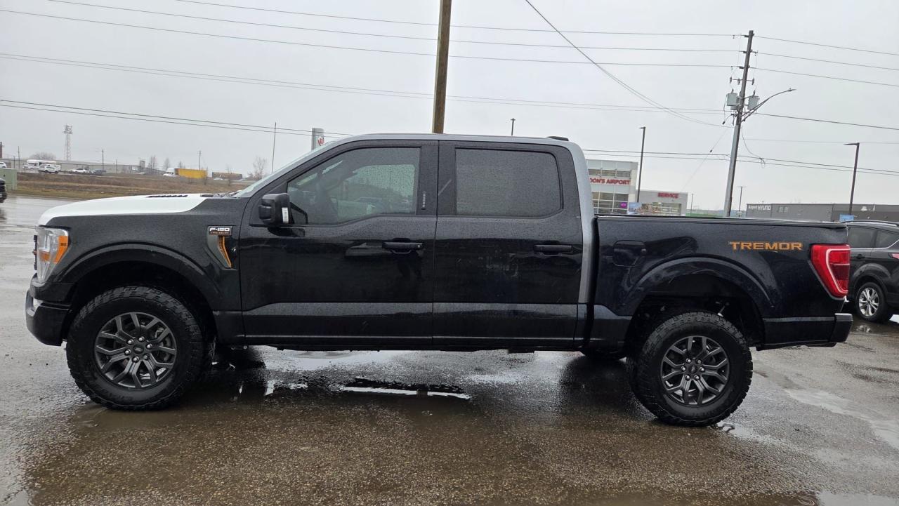 2021 Ford F-150 TREMOR, IRREPARABLE, PARTS OR EXPORT, AS IS Photo