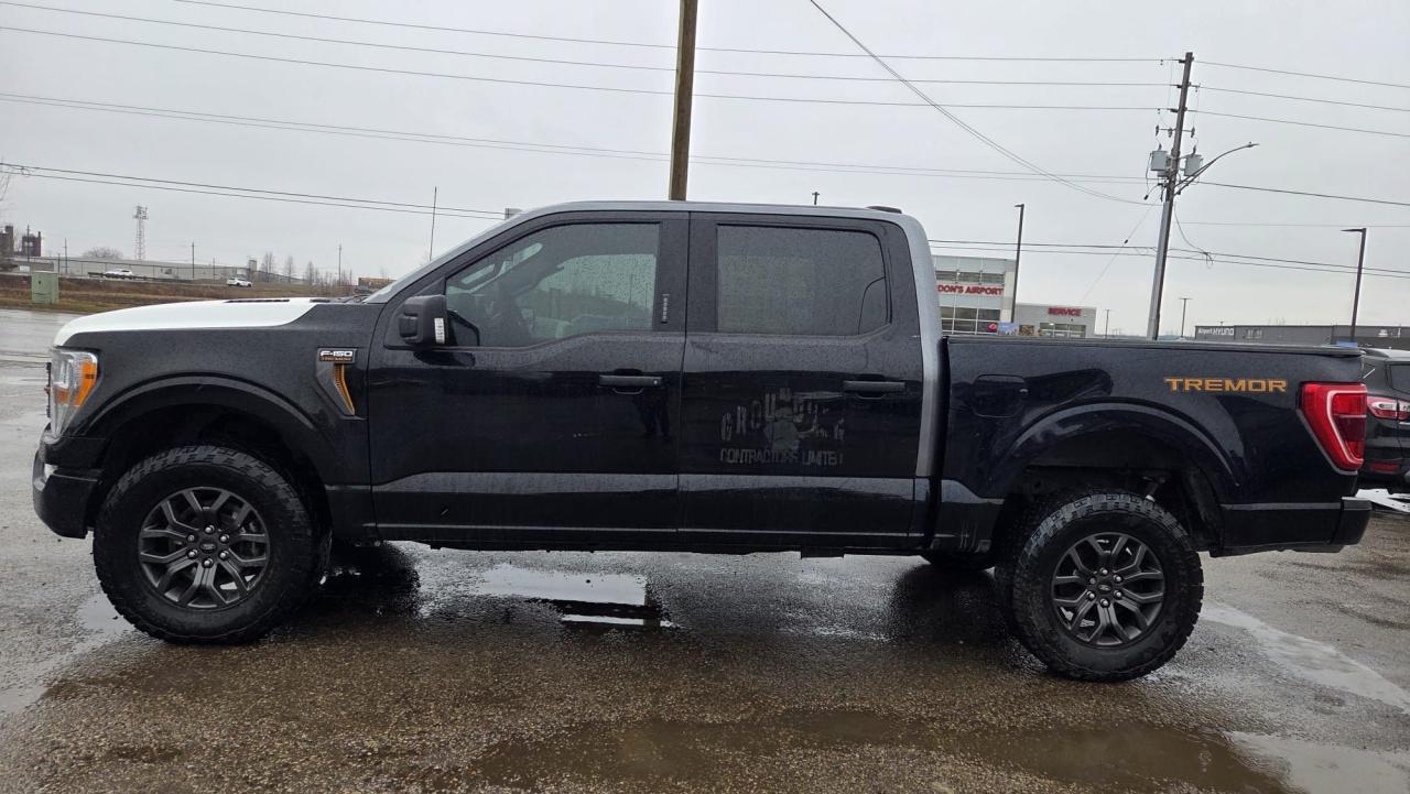 2021 Ford F-150 TREMOR, IRREPARABLE, PARTS OR EXPORT, AS IS Photo