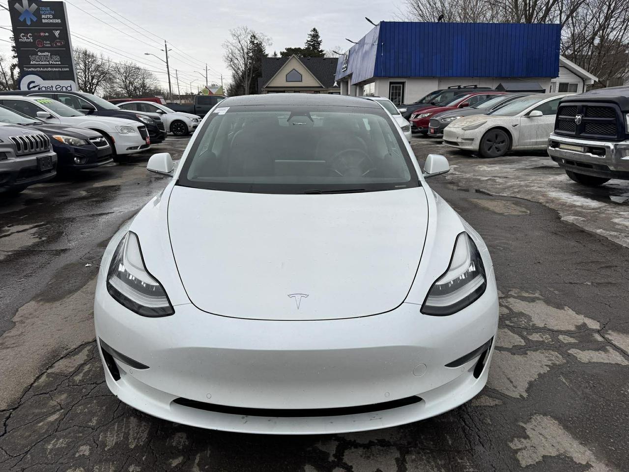 2020 Tesla Model 3 Standard Range Plus RWD Photo