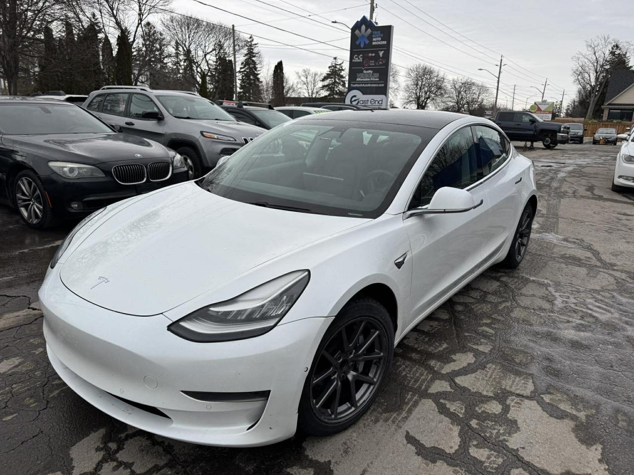 2020 Tesla Model 3 Standard Range Plus RWD Photo