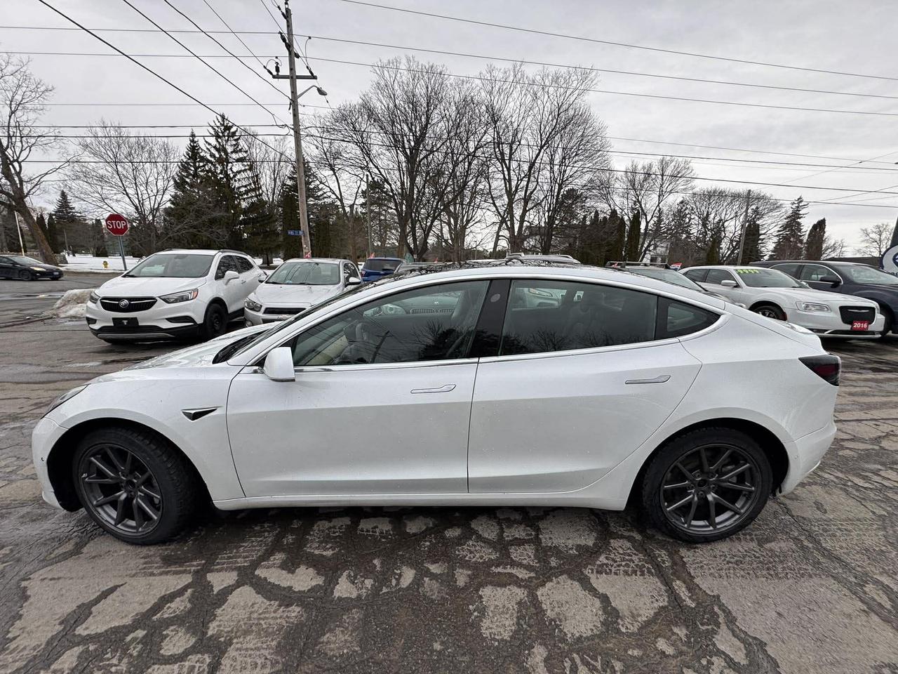 2020 Tesla Model 3 Standard Range Plus RWD Photo3