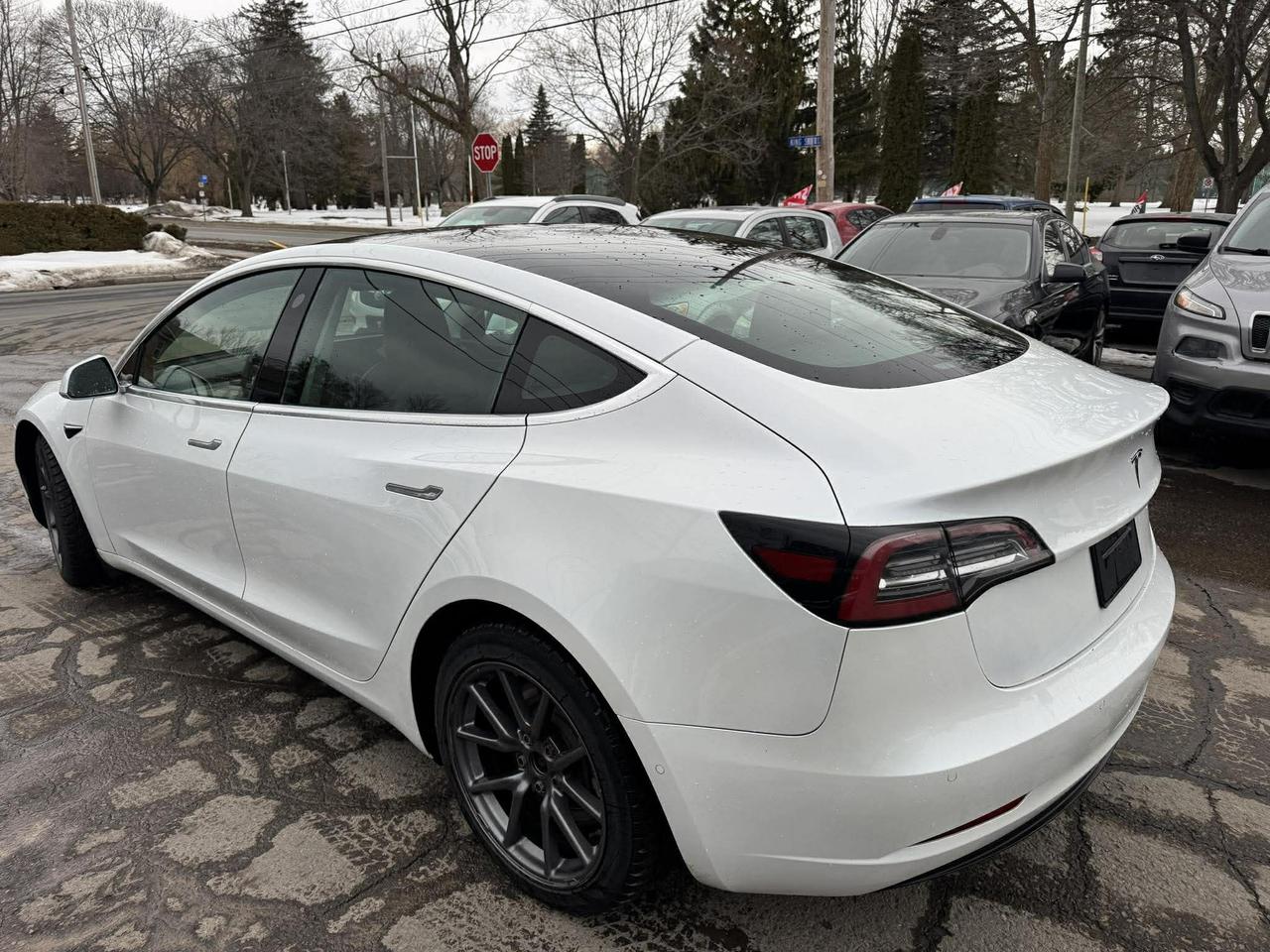 2020 Tesla Model 3 Standard Range Plus RWD Photo4