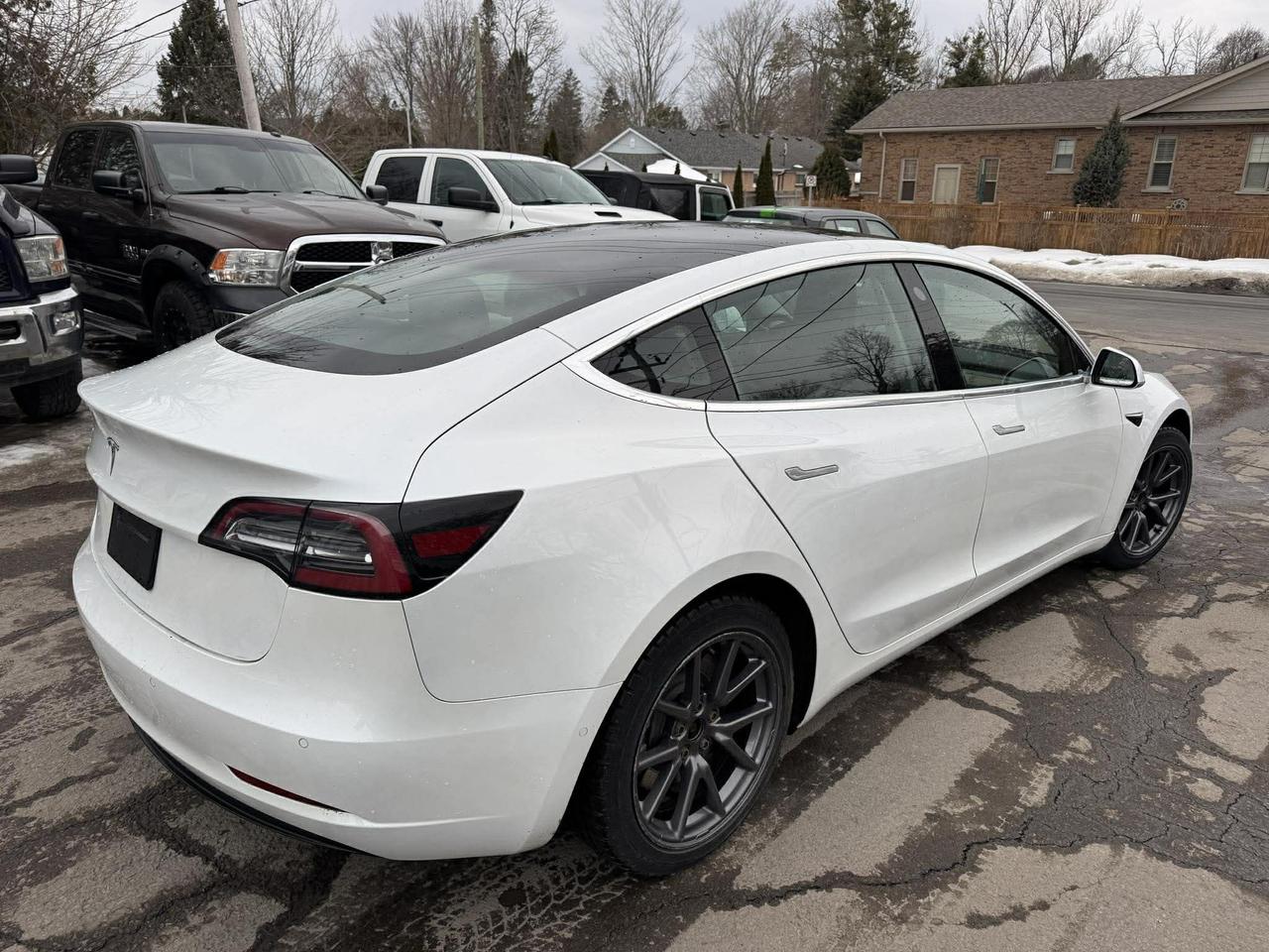 2020 Tesla Model 3 Standard Range Plus RWD Photo
