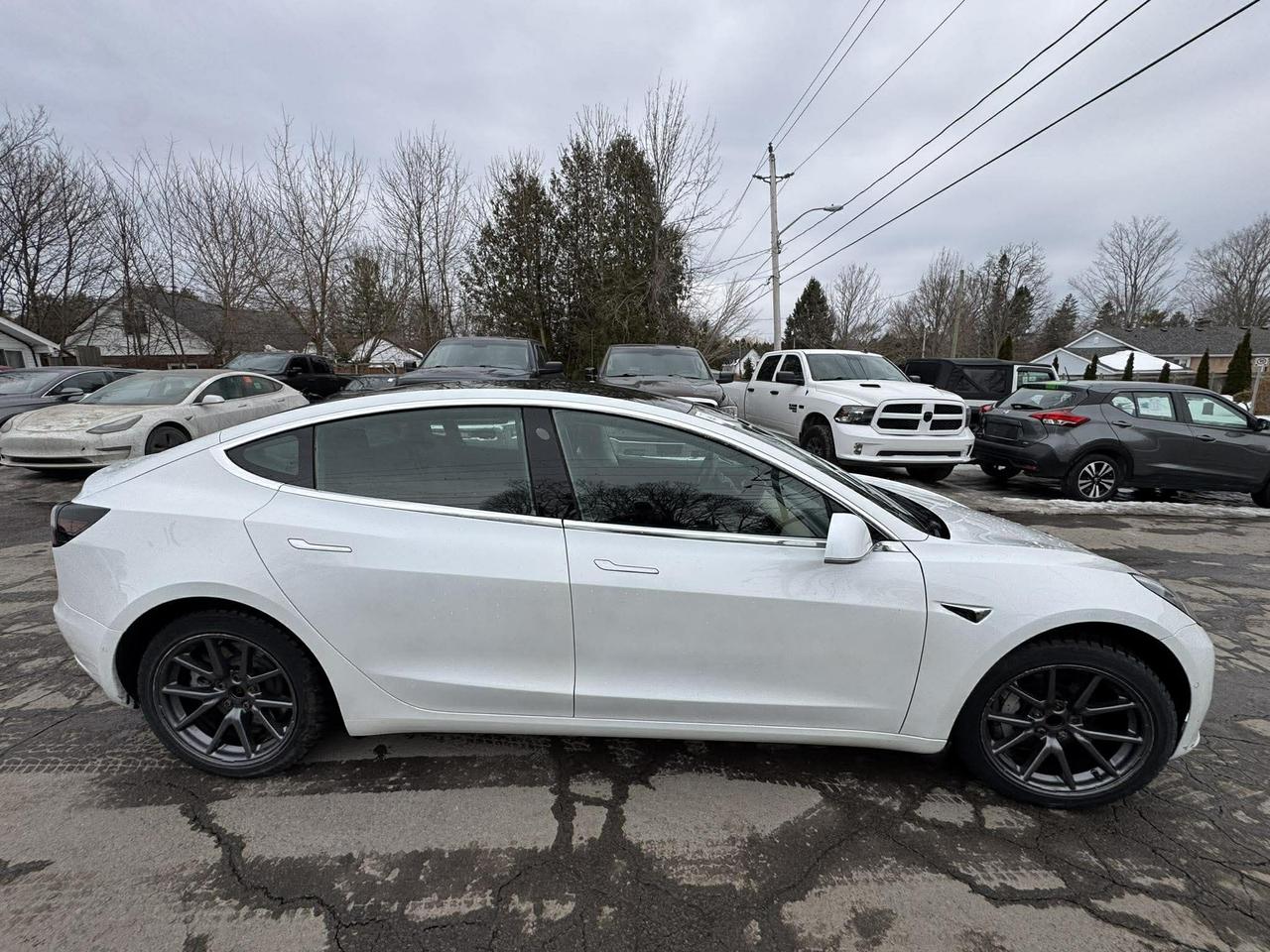 2020 Tesla Model 3 Standard Range Plus RWD Photo