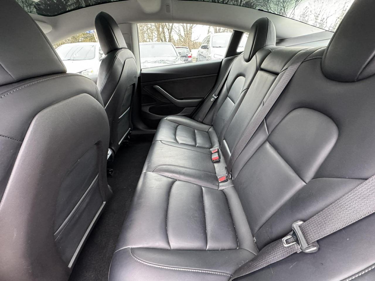 2020 Tesla Model 3 Standard Range Plus RWD Photo