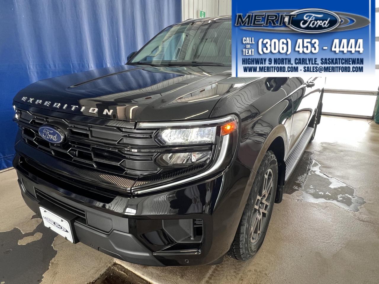 2026 Ford Expedition Active 3.5L ECOBOOST 202A++ Photo0