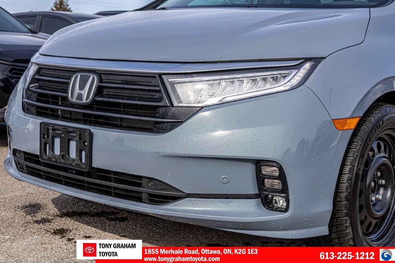 2023 Honda Odyssey Touring Photo