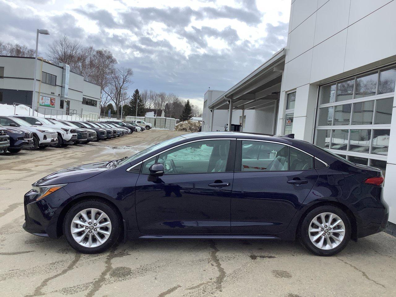 2020 Toyota Corolla  Photo