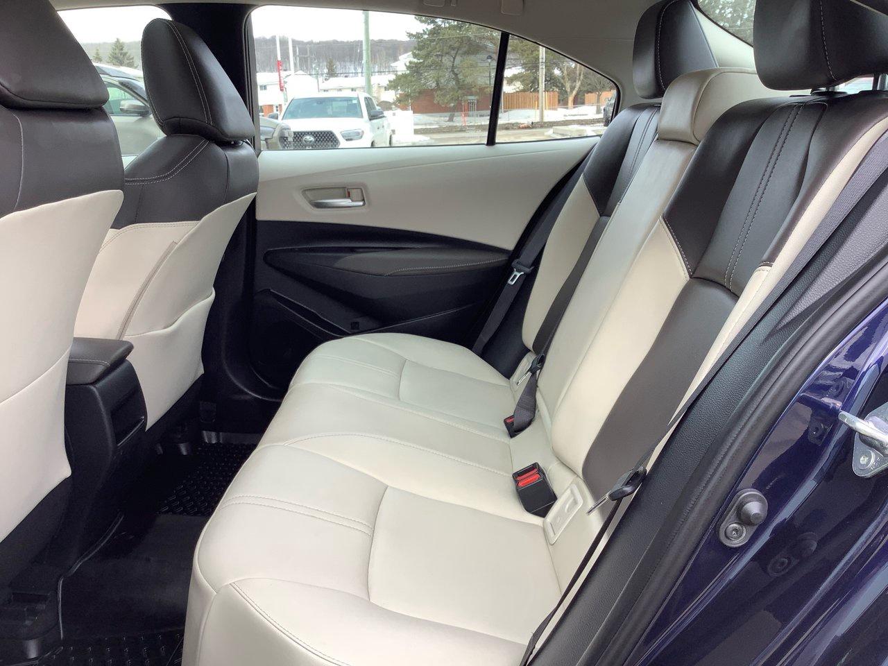 2020 Toyota Corolla  Photo