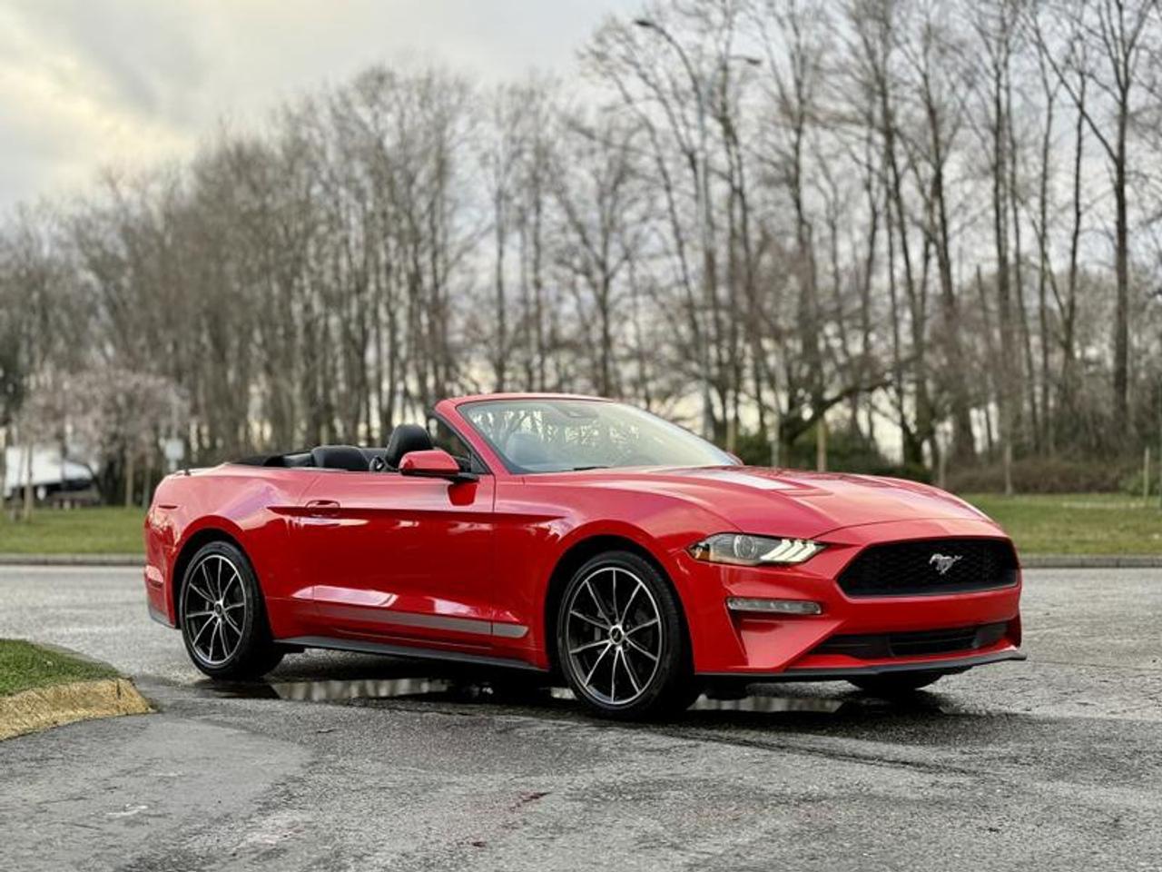 Used 2022 Ford Mustang EcoBoost 2.3L Convertible Automatic for sale in Burnaby, BC