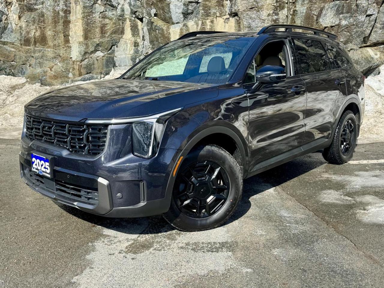 2025 Kia Sorento X-Line Limited AWD w/Black Interior Photo0