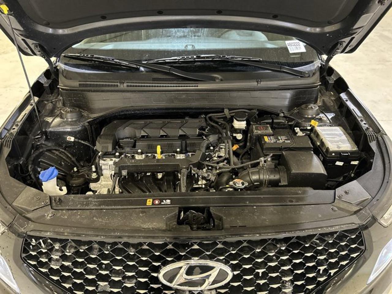 2024 Hyundai Venue Ultimate w/Black Interior| No accidents |Sunroof Photo