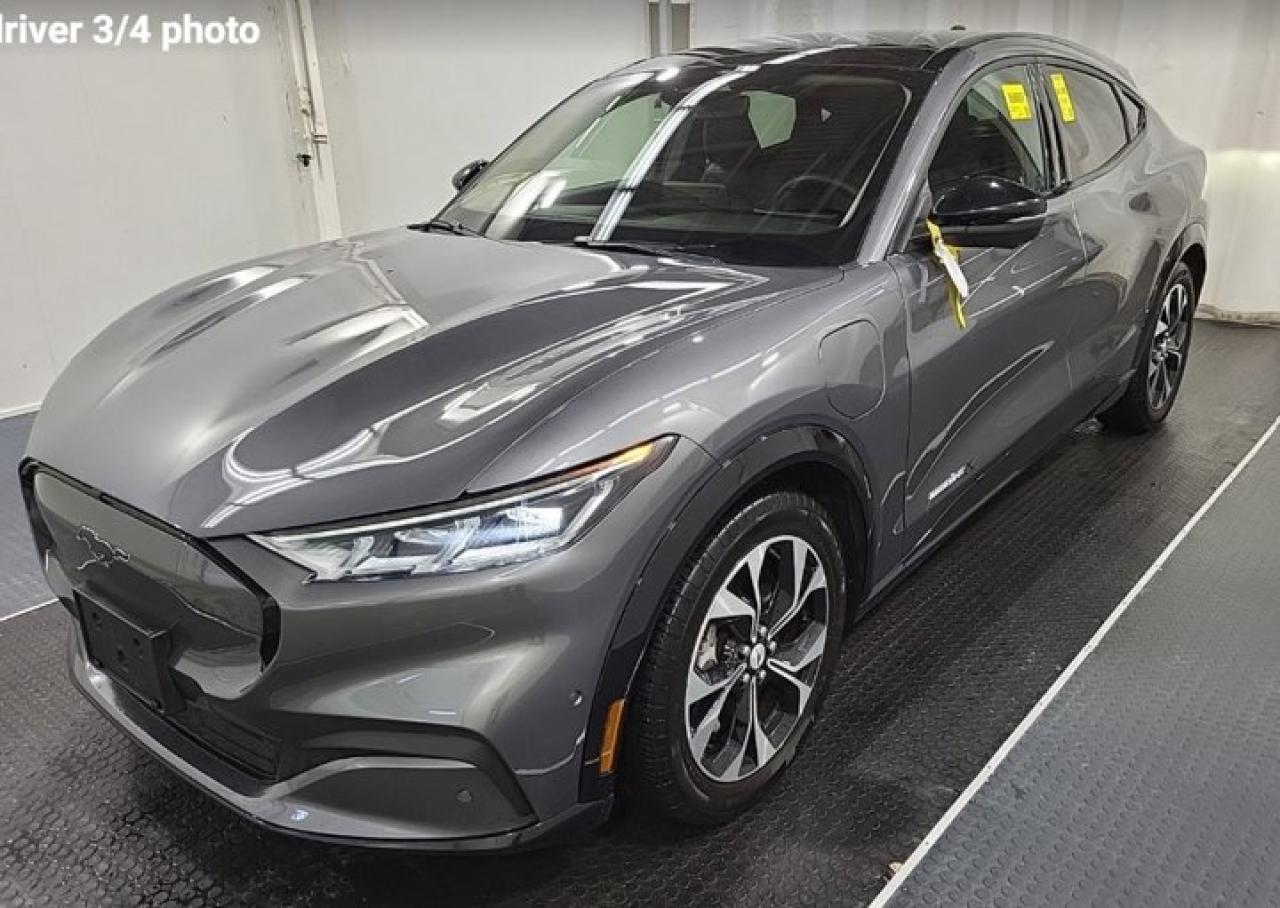 Come see this certified 2023 Ford Mustang Mach-E Premium | Extended Range | Leather | Glass Top | Heated Seats | CarPlay + Android | and More !. Its Automatic transmission and 0.0 engine will keep you going. This Ford Mustang Mach-E features the following options: Leather, Air Conditioning, Heated Seats, Tilt Steering Wheel, Steering Radio Controls, Power Windows, Power Locks, Traction Control, Power Mirrors, and Android Auto / Apple CarPlay. Test drive this vehicle at Mark Wilsons Better Used Cars, 5055 Whitelaw Road, Guelph, ON N1H 6J4.MASSIVE SELECTION: 500+ vehicles in ONE LOCATION, all Live Market Priced for the best value!STRAIGHTFORWARD & TRANSPARENT PRICING: Our Advertised Price INCLUDES:Safety Certification! (No separate certification fee upcharge).FREE Carfax History Report!NO upcharge for paying cash!CONFIDENCE & PEACE OF MIND: 30-Day/3,000 km Warranty INCLUDED! Plus a 5-Day Exchange Privilege!*EASY FINANCING: Better-than-bank rates, $0 Down, and 3 Months No Payments available OAC. BAD CREDIT APPROVED HERE!WE BUY CARS: Get Top Dollar for your trade, or sell us your vehicle for CASH even if you dont buy ours!www.shopwilsons.comAn Honest, Transparent Buying Experience. Trusted in business since 1961!(Cash Prices Exclude HST and Licensing Fees only.)