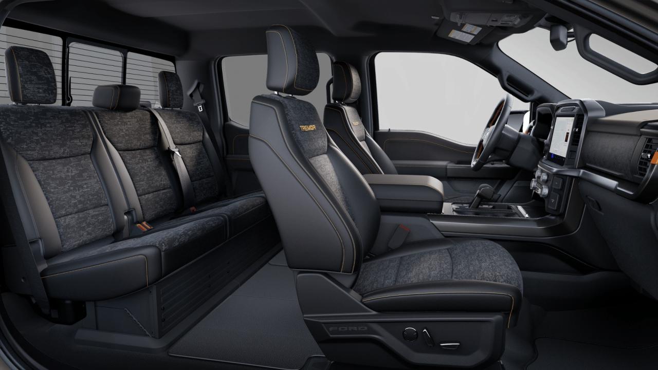 2025 Ford F-150 Tremor Photo