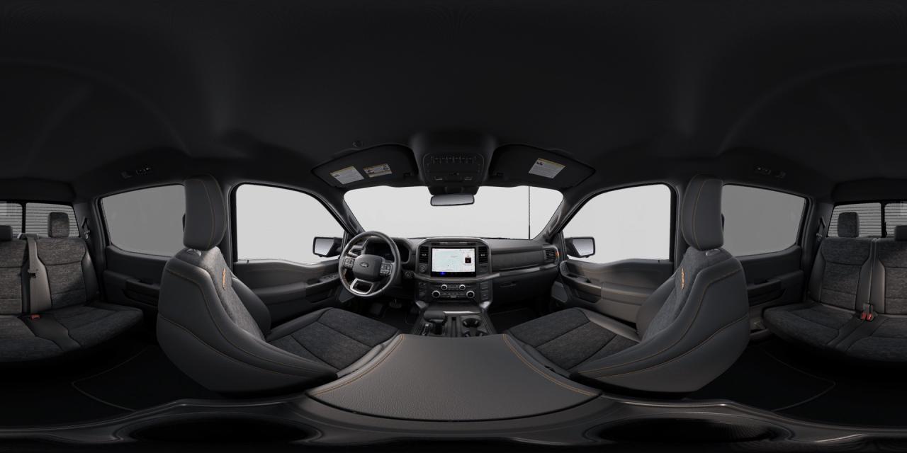 2025 Ford F-150 Tremor Photo
