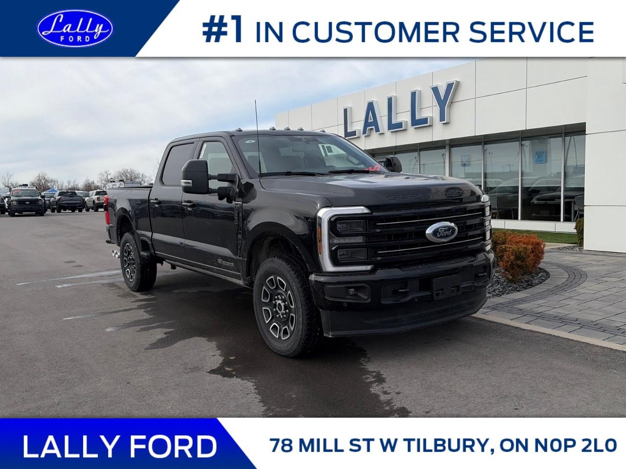 2026 Ford F-250 Super Duty SRW PLATINUM 4WD CREW CAB 6.75' BOX Photo