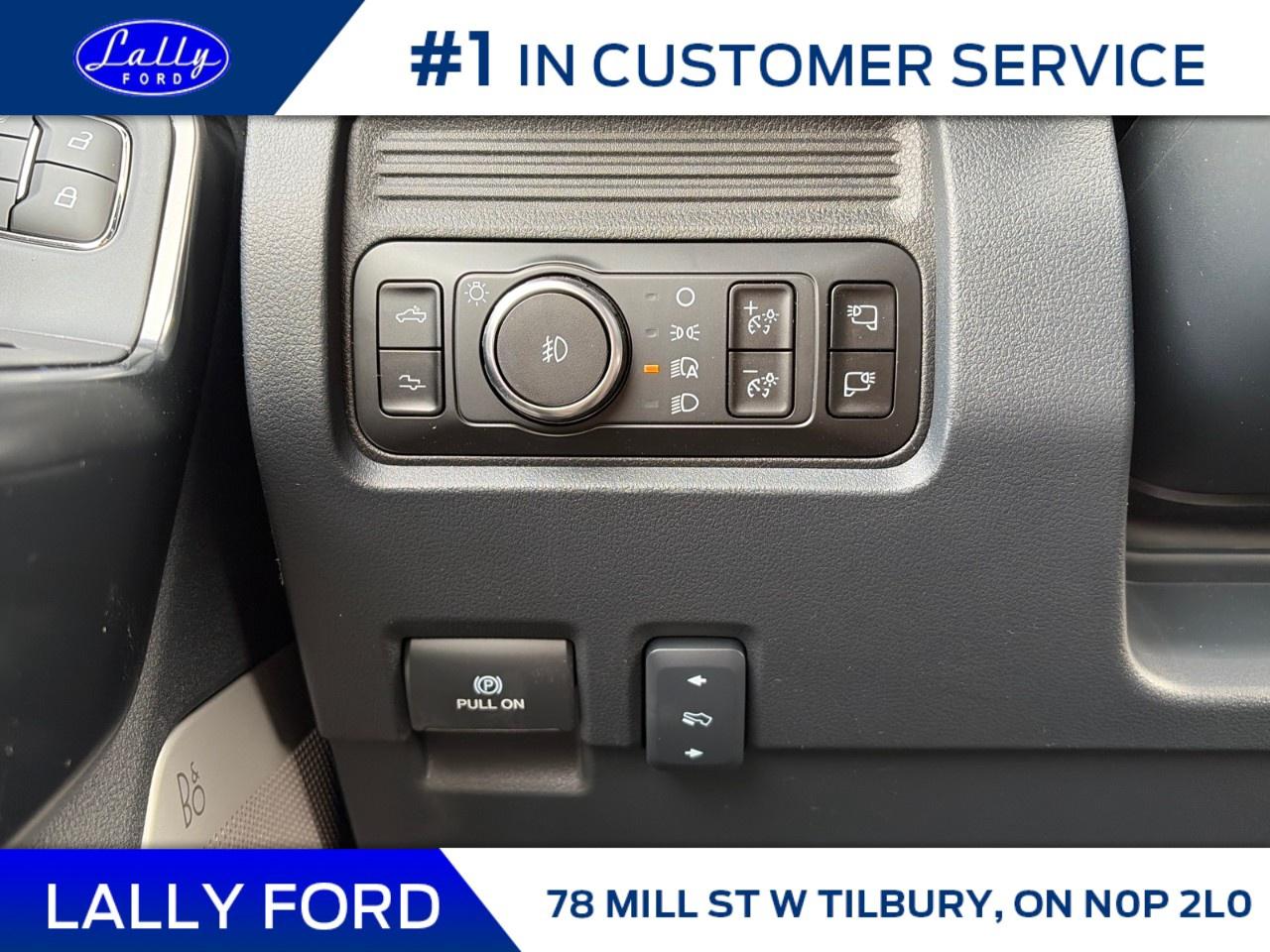 2026 Ford F-250 Super Duty SRW PLATINUM 4WD CREW CAB 6.75' BOX Photo