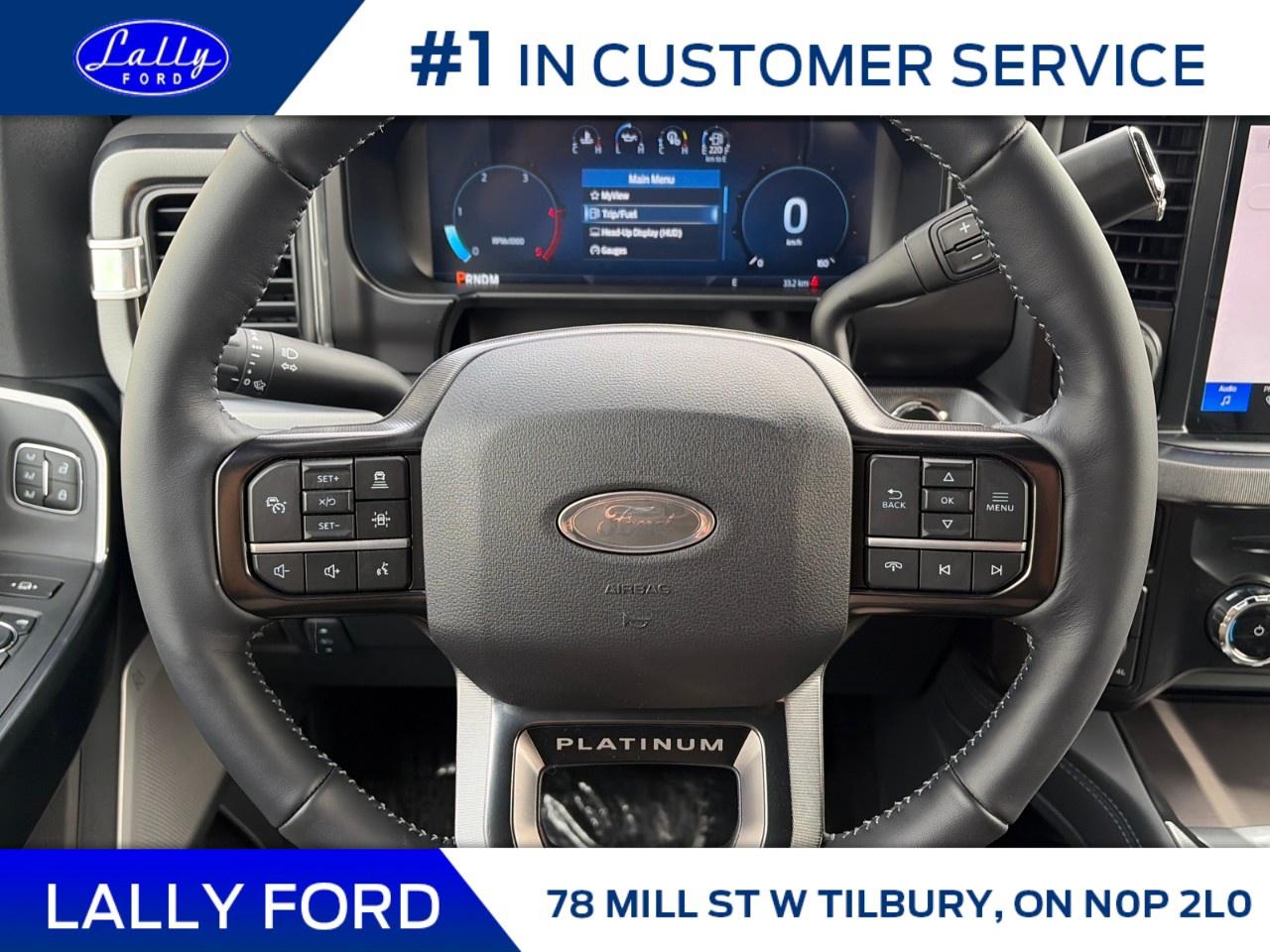 2026 Ford F-250 Super Duty SRW PLATINUM 4WD CREW CAB 6.75' BOX Photo