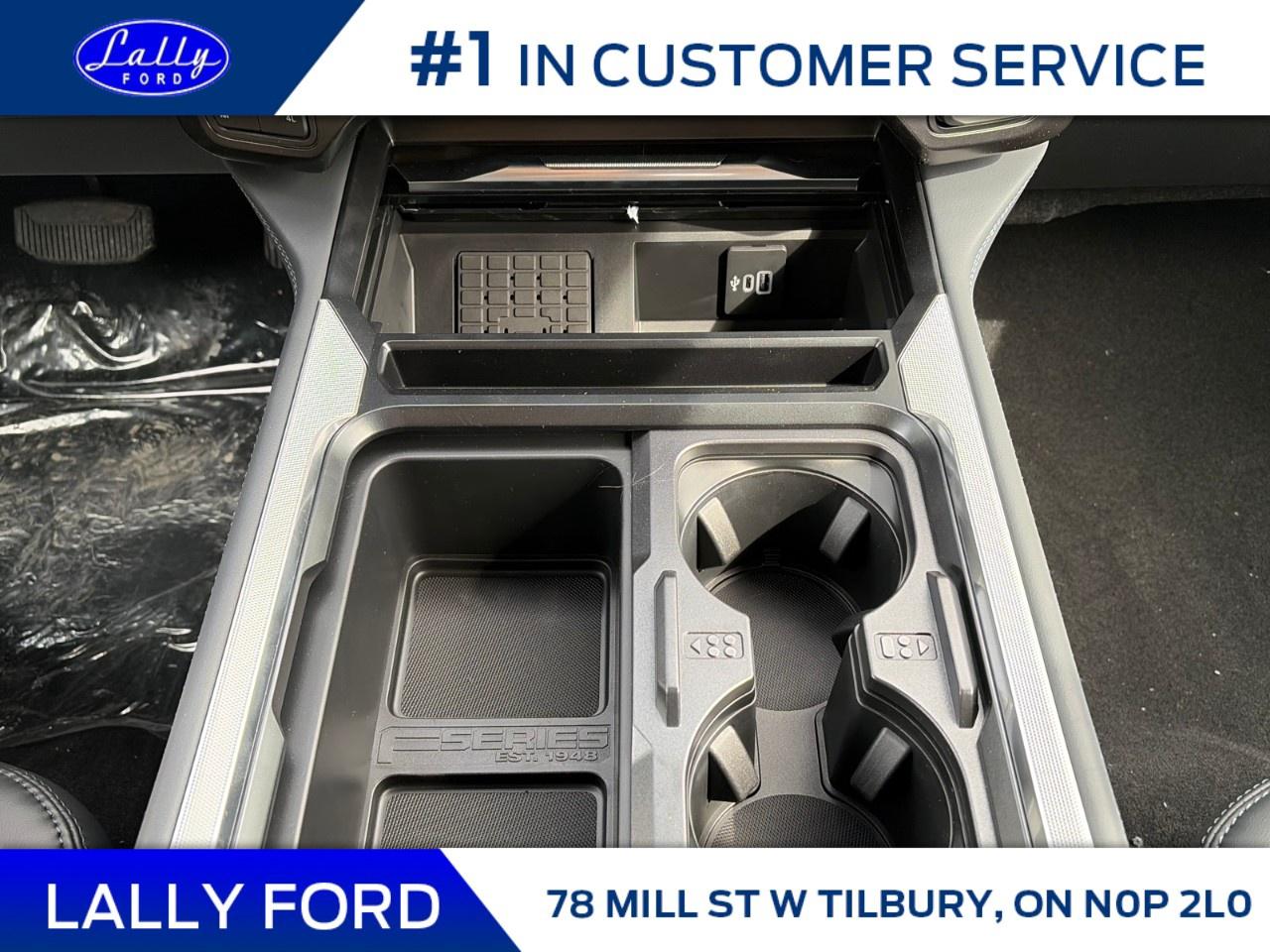 2026 Ford F-250 Super Duty SRW PLATINUM 4WD CREW CAB 6.75' BOX Photo