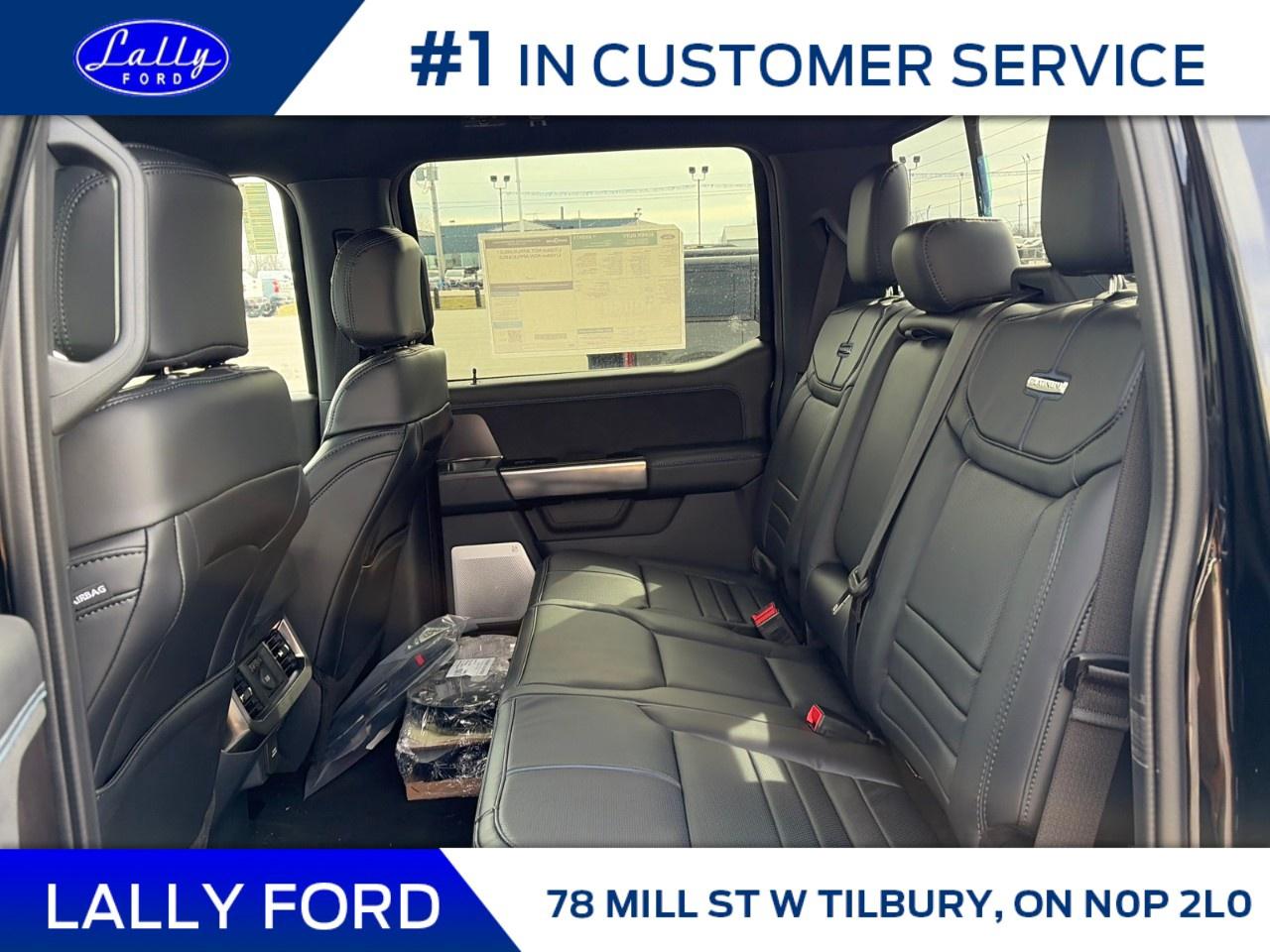 2026 Ford F-250 Super Duty SRW PLATINUM 4WD CREW CAB 6.75' BOX Photo