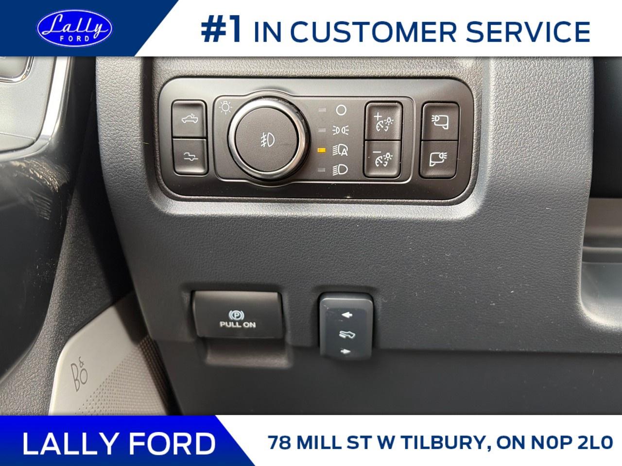 2026 Ford F-350 Super Duty SRW PLATINUM 4WD CREW CAB 6.75' BOX Photo