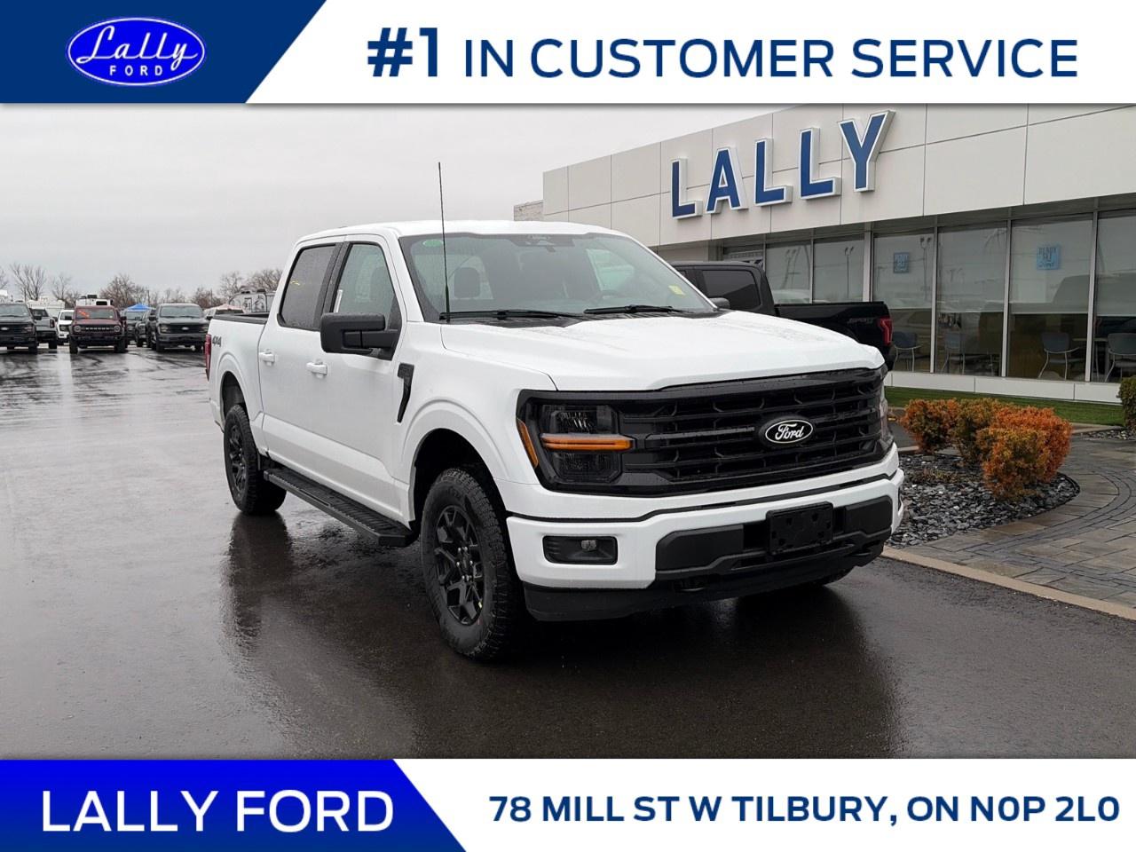 2026 Ford F-150 XLT 4WD SuperCrew 5.5' Box Photo0