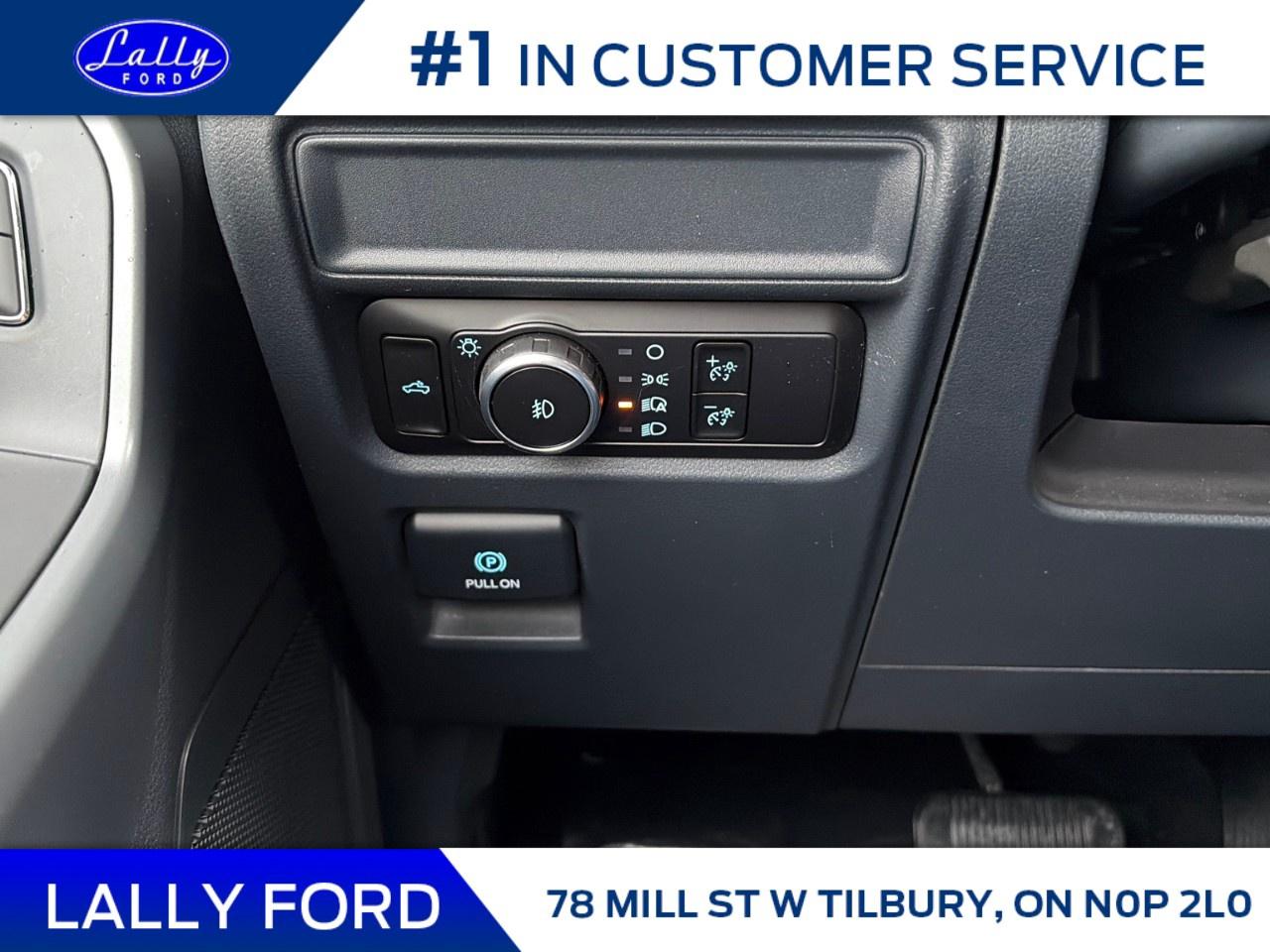 2026 Ford F-150 XLT 4WD SuperCrew 5.5' Box Photo