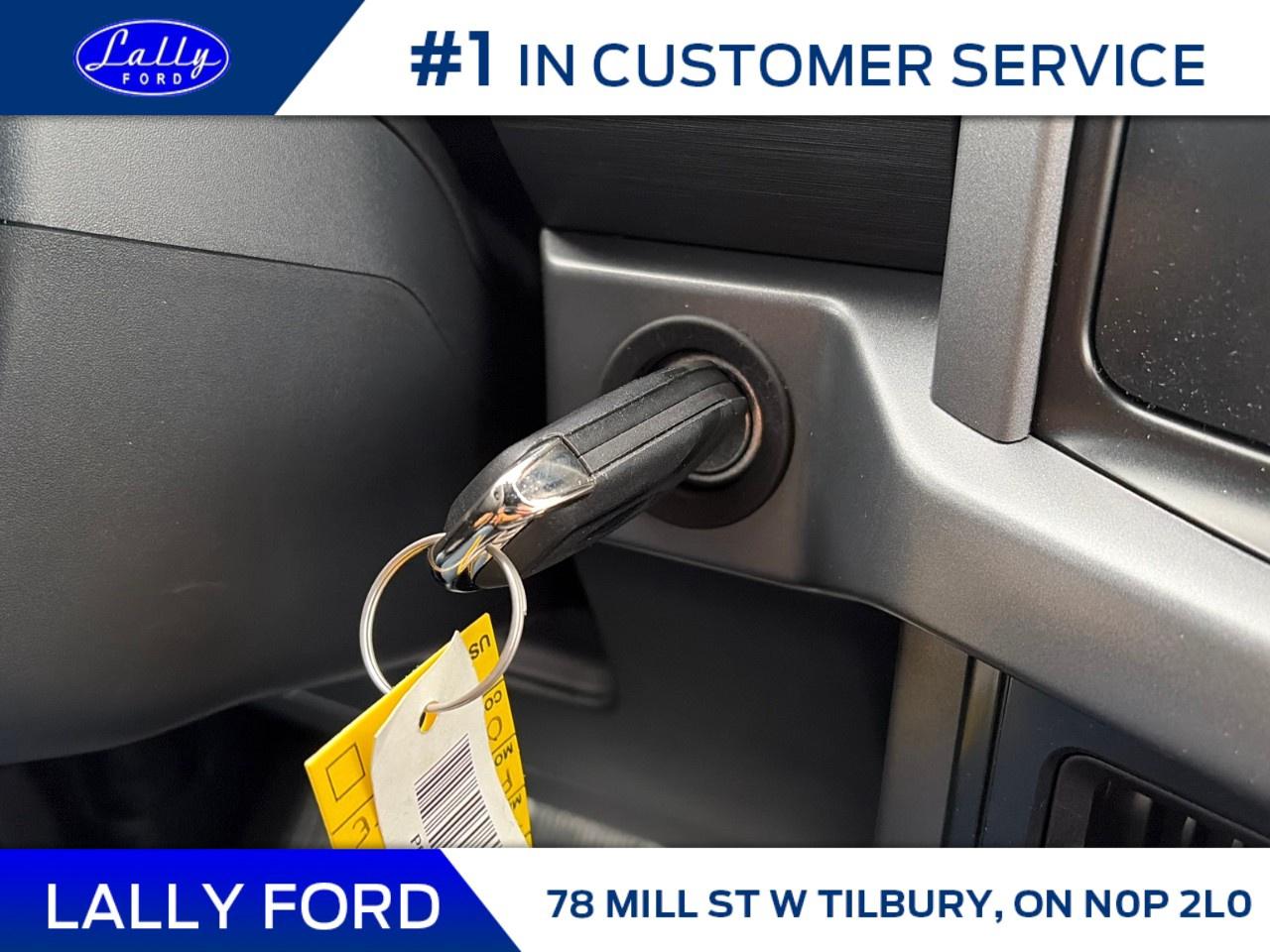 2026 Ford F-150 XLT 4WD SuperCrew 5.5' Box Photo