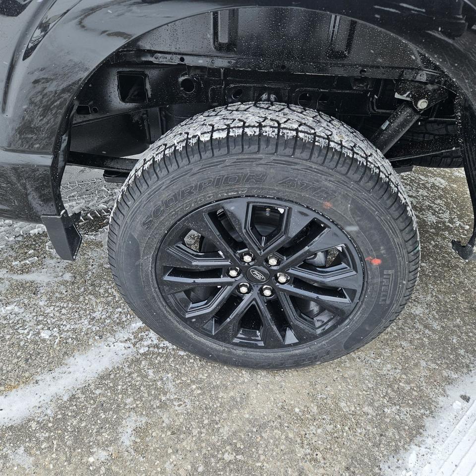 2026 Ford F-150 XLT, BLACK PKG, TOW/HAUL PKG, 360 DEGREE CAMERA Photo