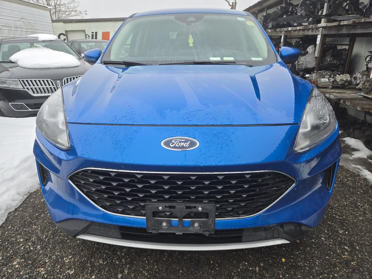 2020 Ford Escape SE Photo