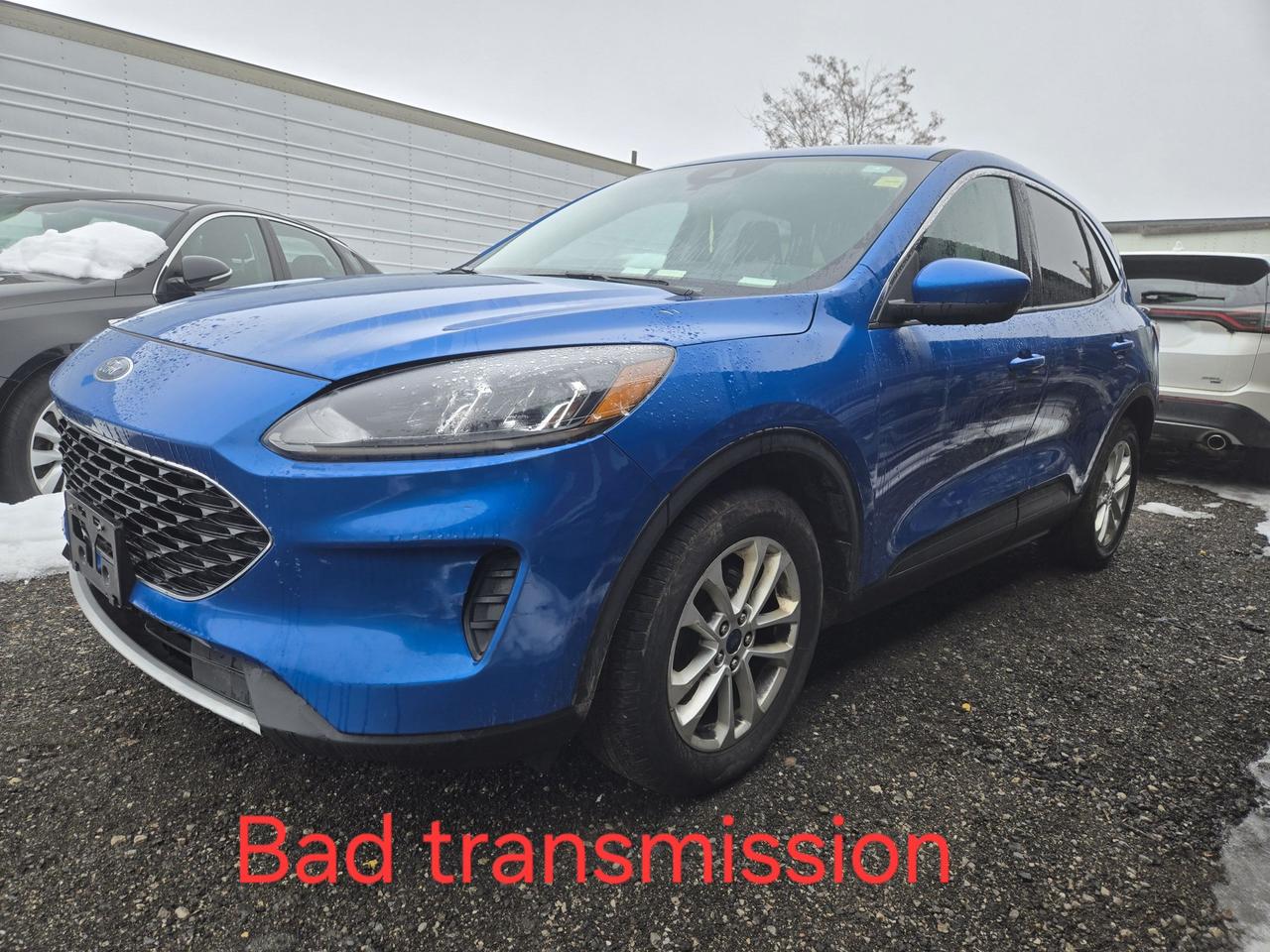 2020 Ford Escape SE Photo