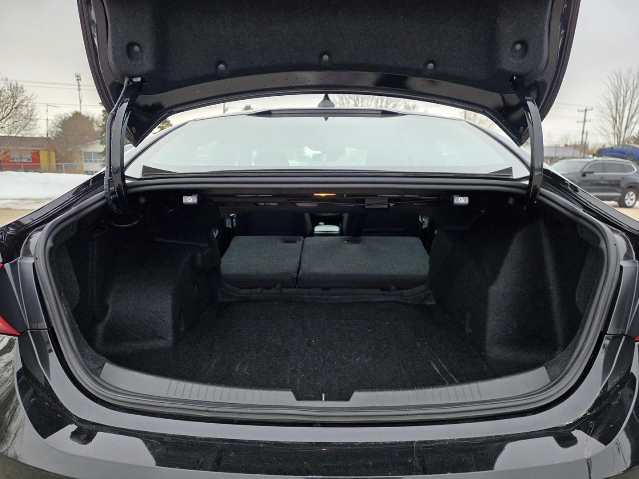 2024 Chevrolet Malibu 1LT Photo