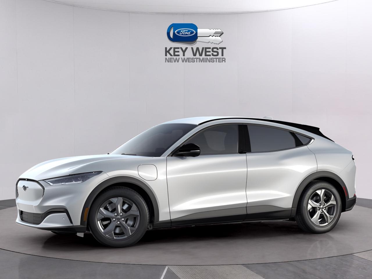 2023 Ford Mustang Mach-E  Photo0