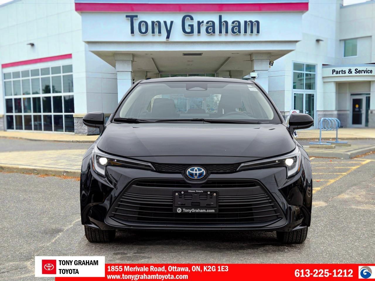 2024 Toyota Corolla Hybrid LE Photo