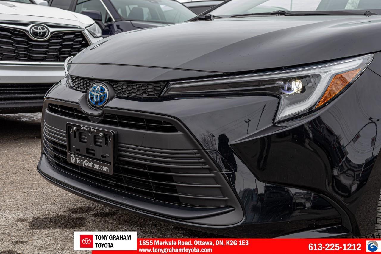 2024 Toyota Corolla Hybrid LE Photo