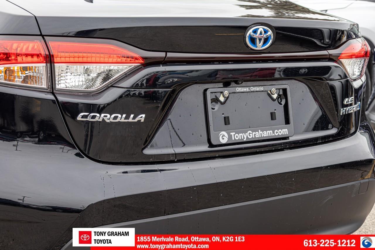 2024 Toyota Corolla Hybrid LE Photo